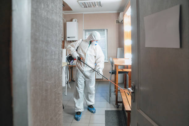 Best Commercial Mold Inspection  in Quail Creek, TX