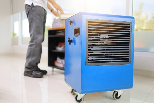 Best Residential Mold Inspection & Testing  in Quail Creek, TX